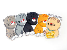 Load image into Gallery viewer, Gray Tabby Cat Sticker